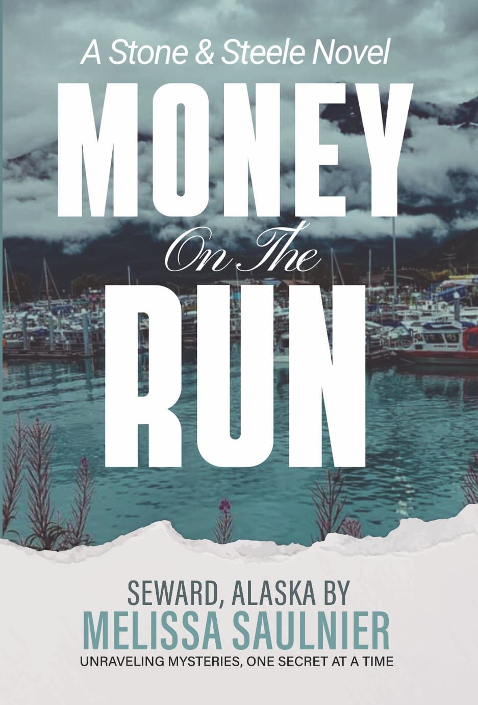 Cover of Money On the Run by Melissa Saulnier